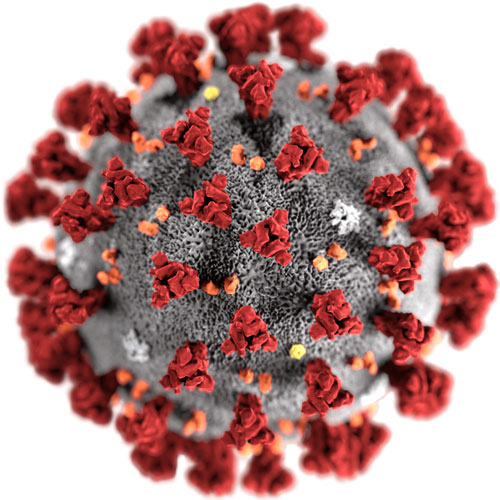 coronavirus